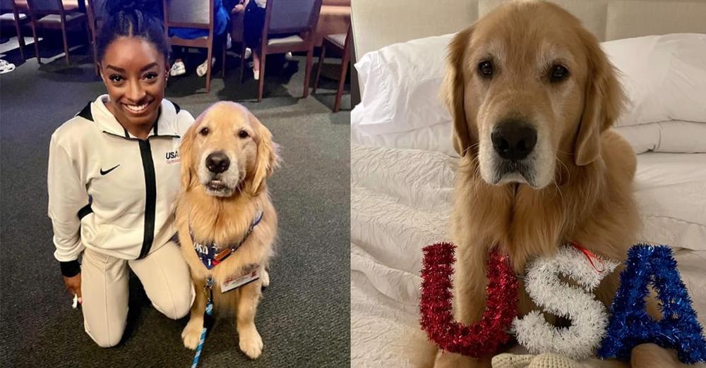 Meet Beacon, Team USA gymnastics’ beloved therapy dog: “Most Valuable Pup”