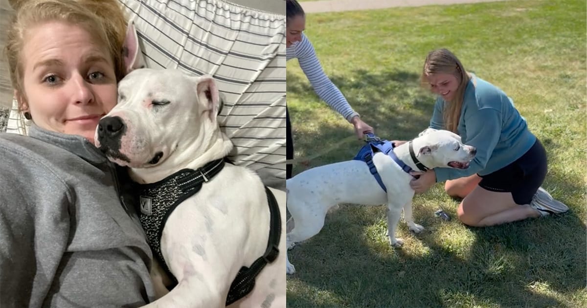 Woman sees favorite foster dog from 4 years ago on adoption sight โ fate brings them back together