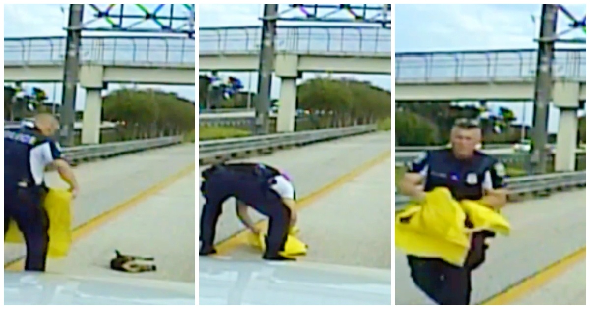Caring Cop Stops In Busy Traffic Attempting To Save Tiny Pooch Hit By Car