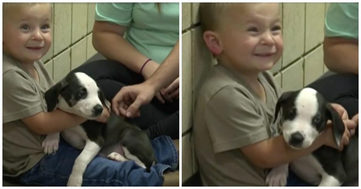 Little Boy’s Family Adopts Shelter Pup With The Same Birth Defect As Their Son