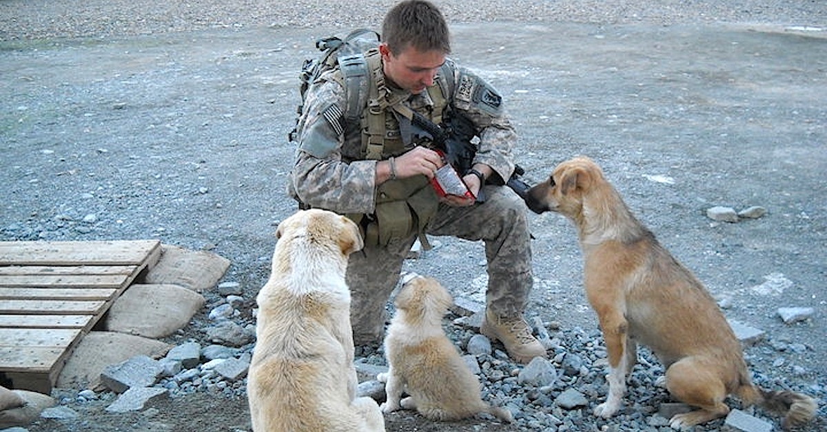 Everyone Has Their Own Superhero. For This Soldier, It Was These 3 Dogs