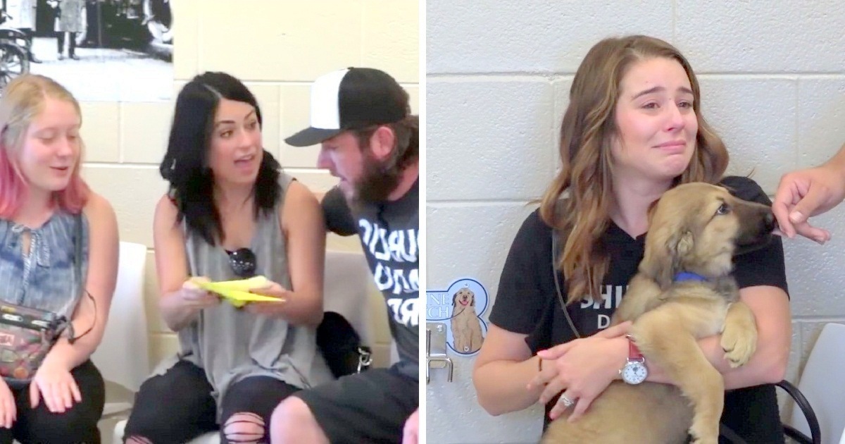 Families Adopted Dogs Before Meeting Them And Lost It While Picking Them In Random Order