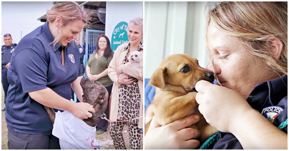 Woman Single-Handedly Lowers Shelter’s Kill-Rate From 100% To Zero, Saves 565 Dogs