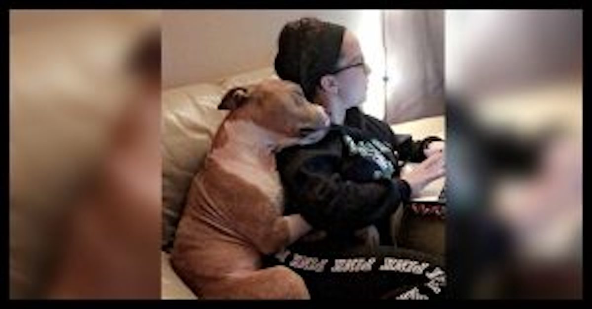 Adoption Photo Is Teaching Others That Shelter Dogs Have So Much Love To Give