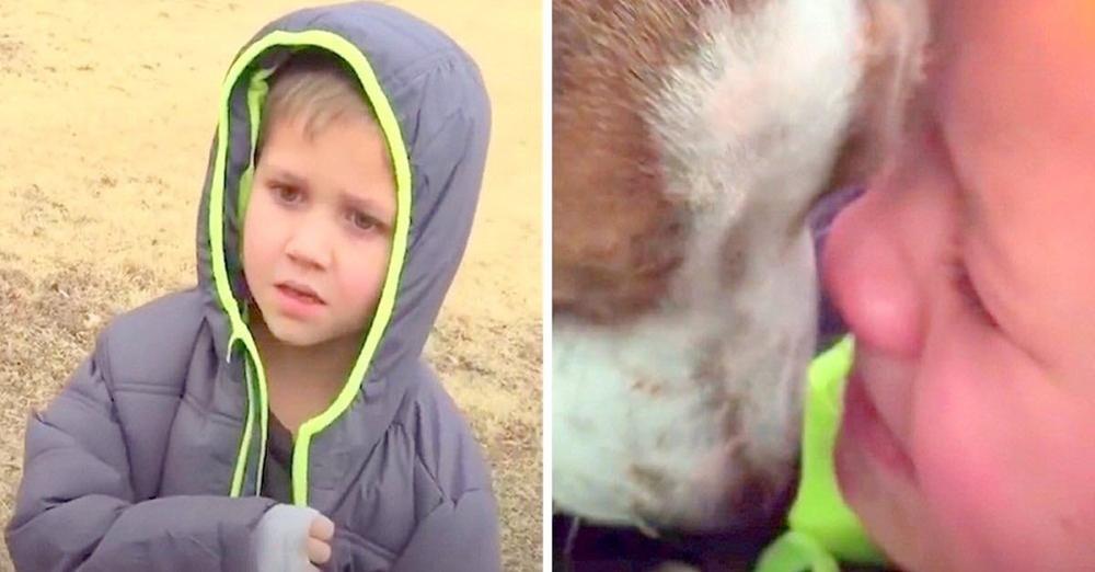 Little Boyโs Dog Was Missing For A Month, When Mom Calls Her Son Over