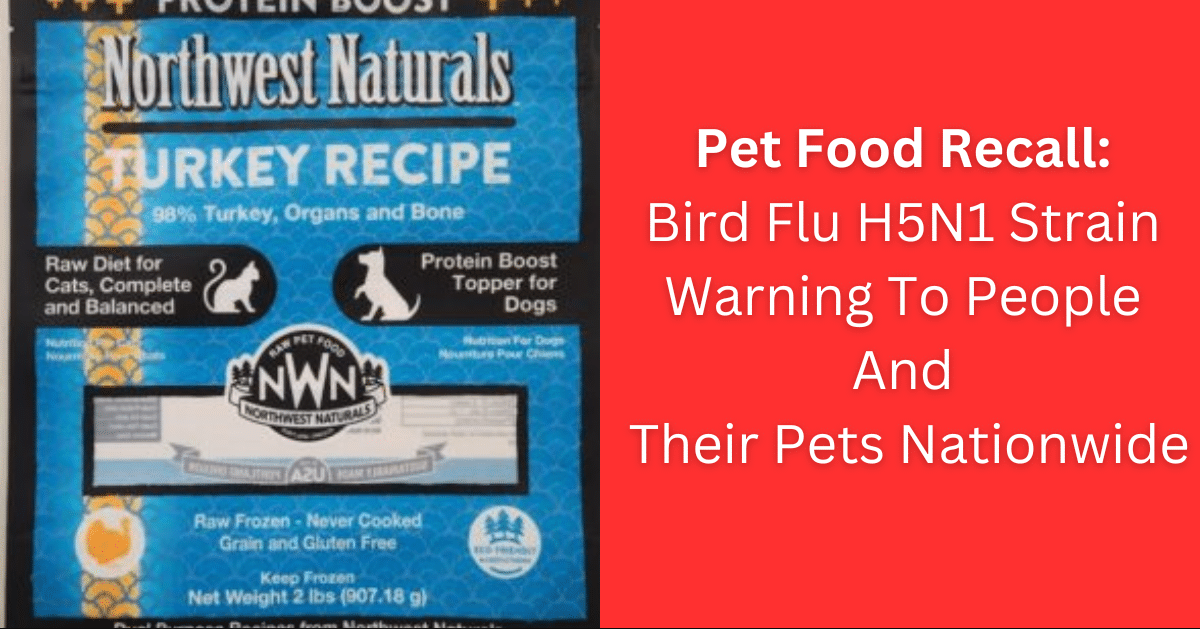 Bird Flu H5N1 Strain Warning To People And Their Pets Nationwide