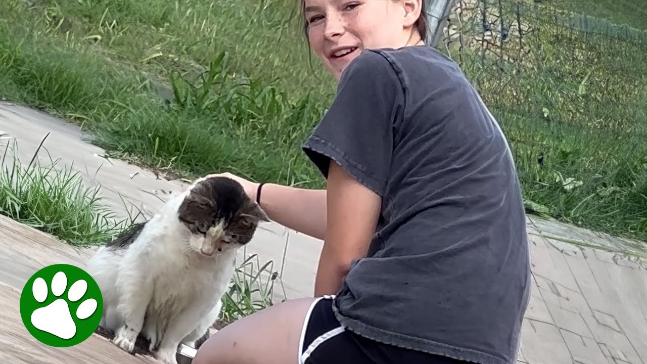 Mother watches 13-year-old earn homeless cat’s trust