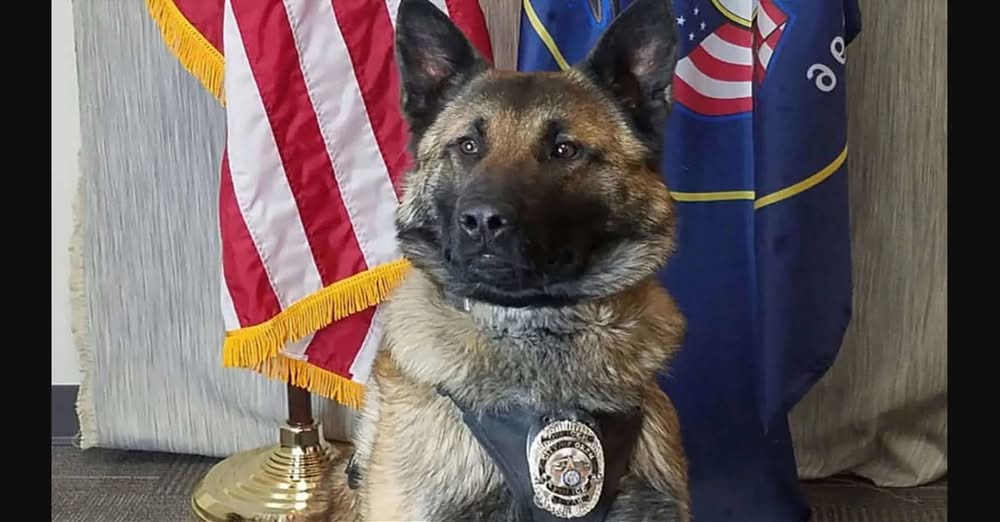 Retiring Police Dog Gets His Heartfelt Final Goodbye During a Radio Call