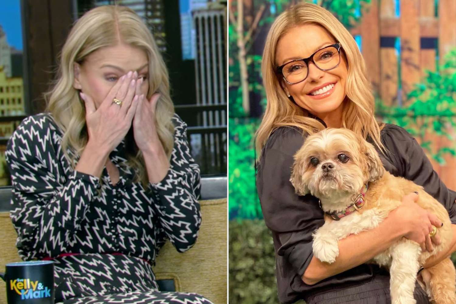 Kelly made the “toughest” decision after Chewie began eating less and less for weeks