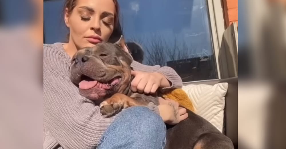 Dog Lets Go Of Painful Past When She Wraps Her Arms Around Him