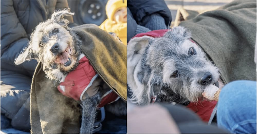 Dogโs Sendoff Was An Upbeat Celebration Filled With Everything She Loved