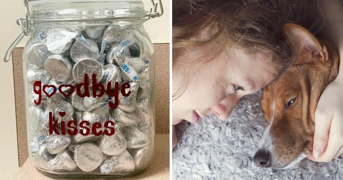 Animal Hospital Offers Dogs Chocolate โGoodbye Kissesโ In Their Final Moments