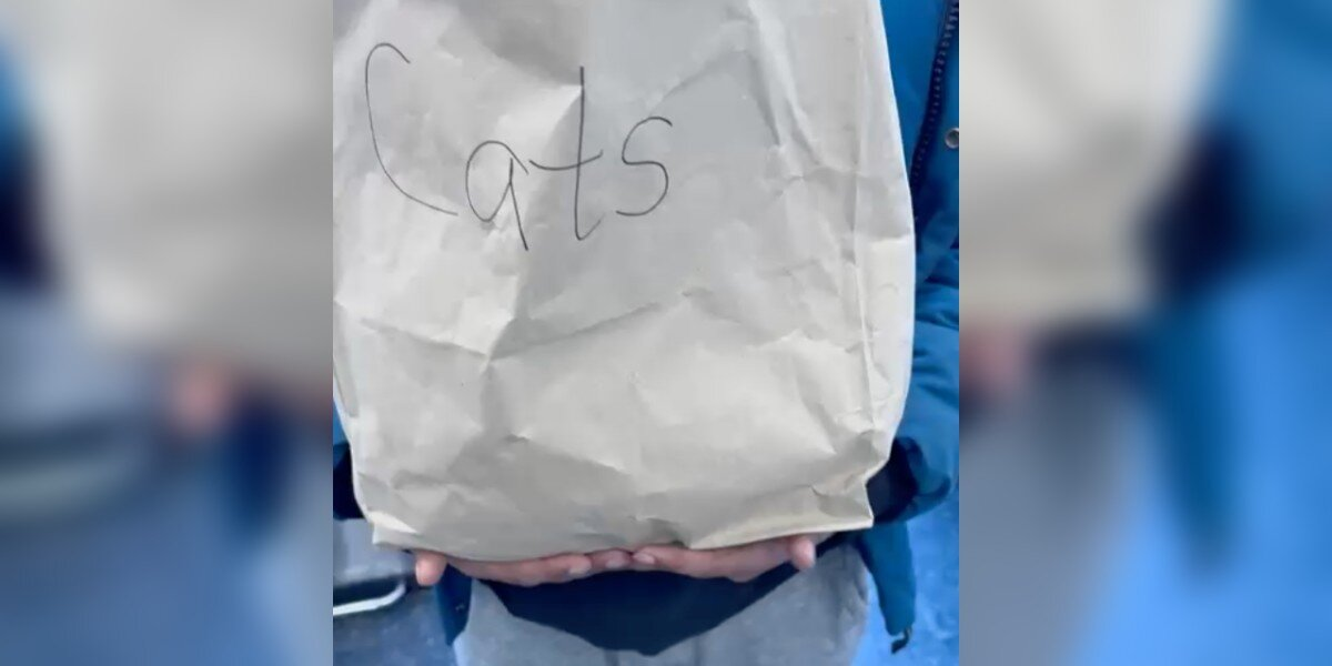 Driver Spots Bag Marked โCatsโ on Highway โ Then Hears a Sound That Makes Him Stop