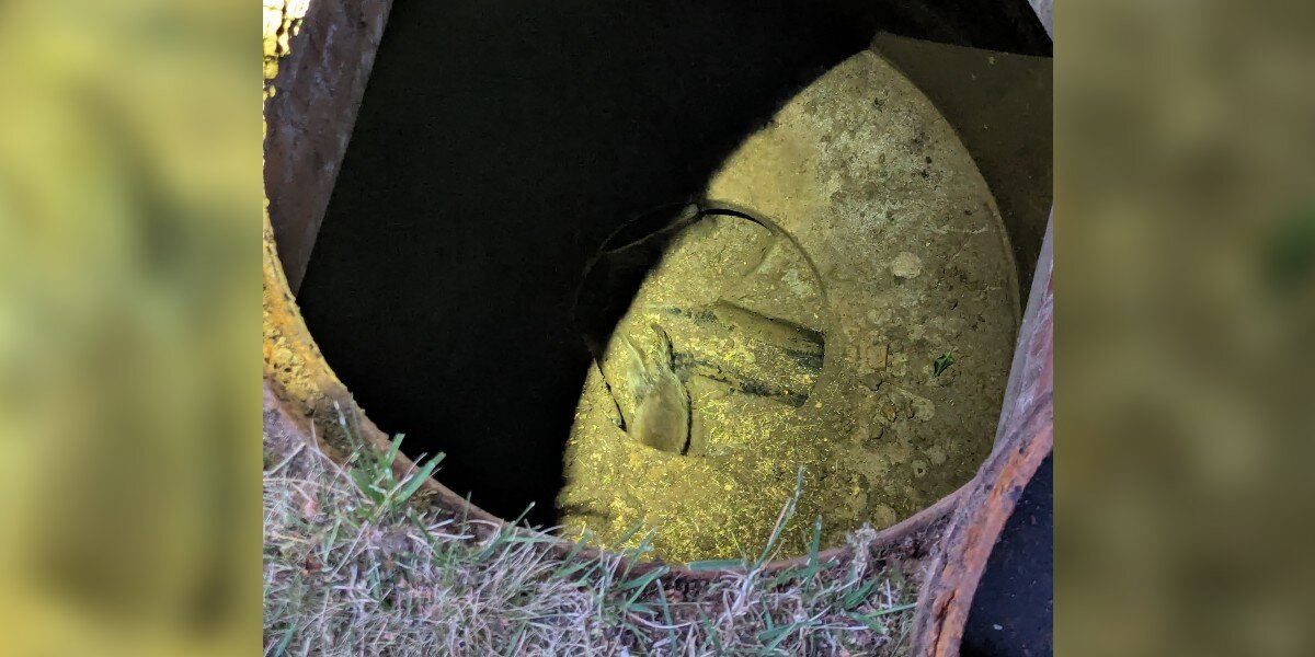 Neighbors Hear ‘Barking’ From Drain โ And Discover A Baby In Desperate Need Of His Mom