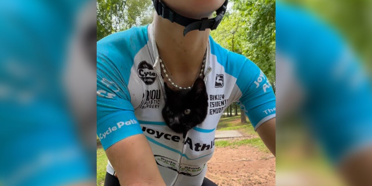 Cyclist Rescues Stray Kitten After Race โ And Discovers Sheโs A Natural Biker