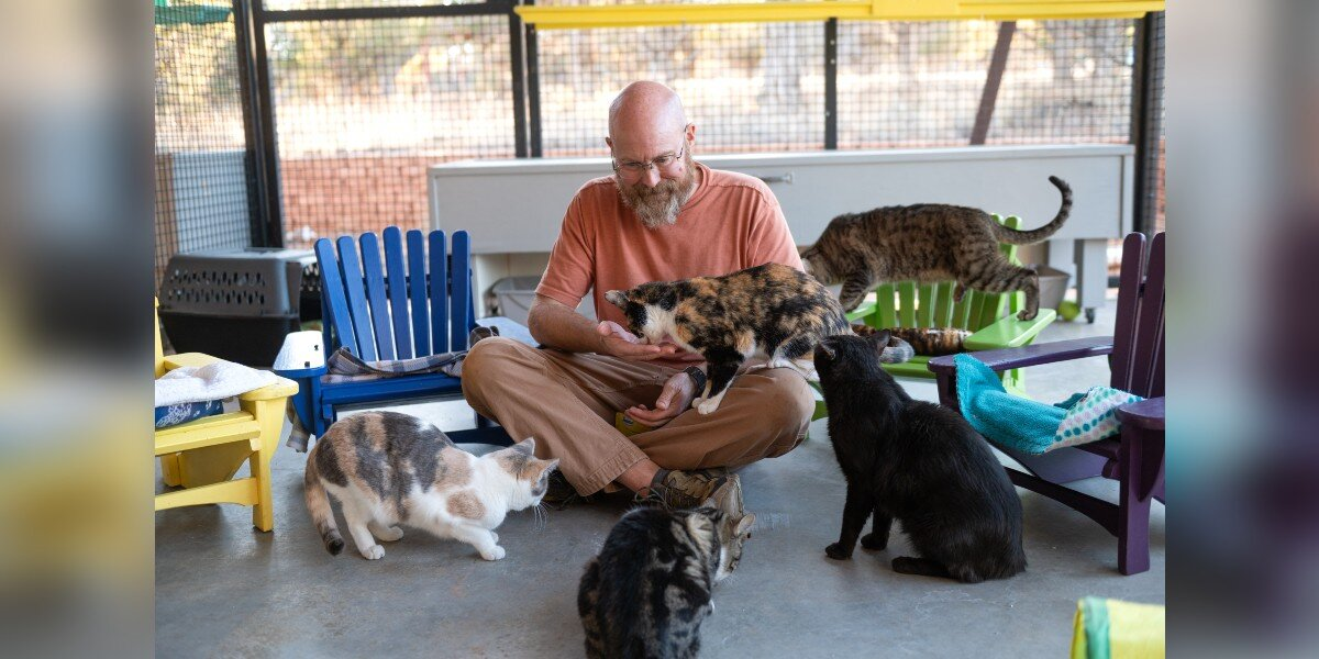 Retired Volunteer Notices Shelter Cats Have Nowhere Cozy To Relax โ So He Starts Building Tiny Chairs For Them